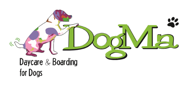 dog boarding washington